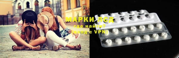 крисы Аркадак