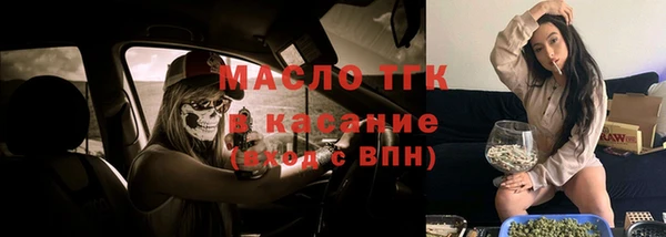 крисы Аркадак