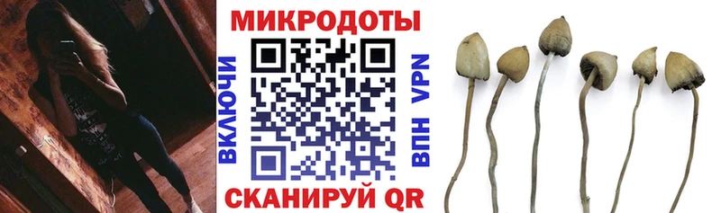 darknet клад  Сольцы  Галлюциногенные грибы Psilocybe 
